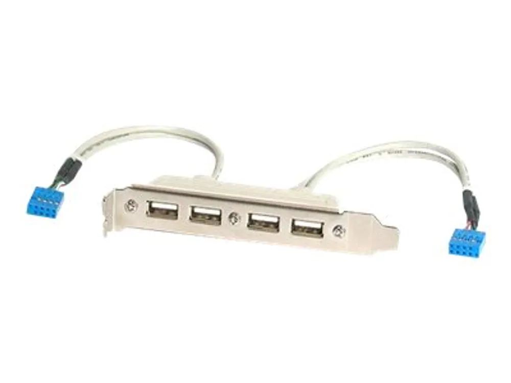 StarTech.com 4 Port USB 2.0 Buchse Slotblech Adapter mit 2x 10-Pin Mainboard Header - USB-Konsole - USB (W)
