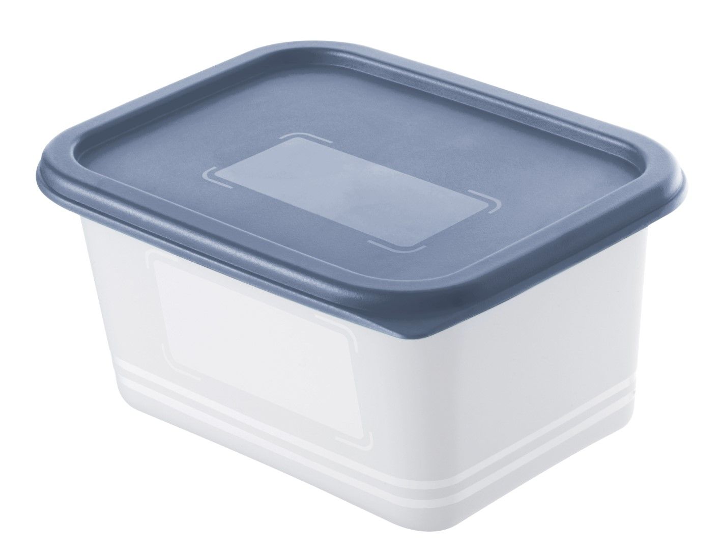 Rotho Set Gefrierdosen 4 x 0.75 l DOMINO