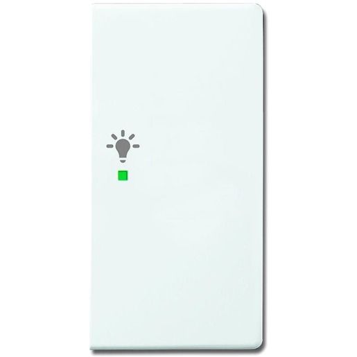 Busch-Jaeger WIPPE/R 2-FACH, LICHT / BUSCH 6231-22-84 2CKA006220A0064