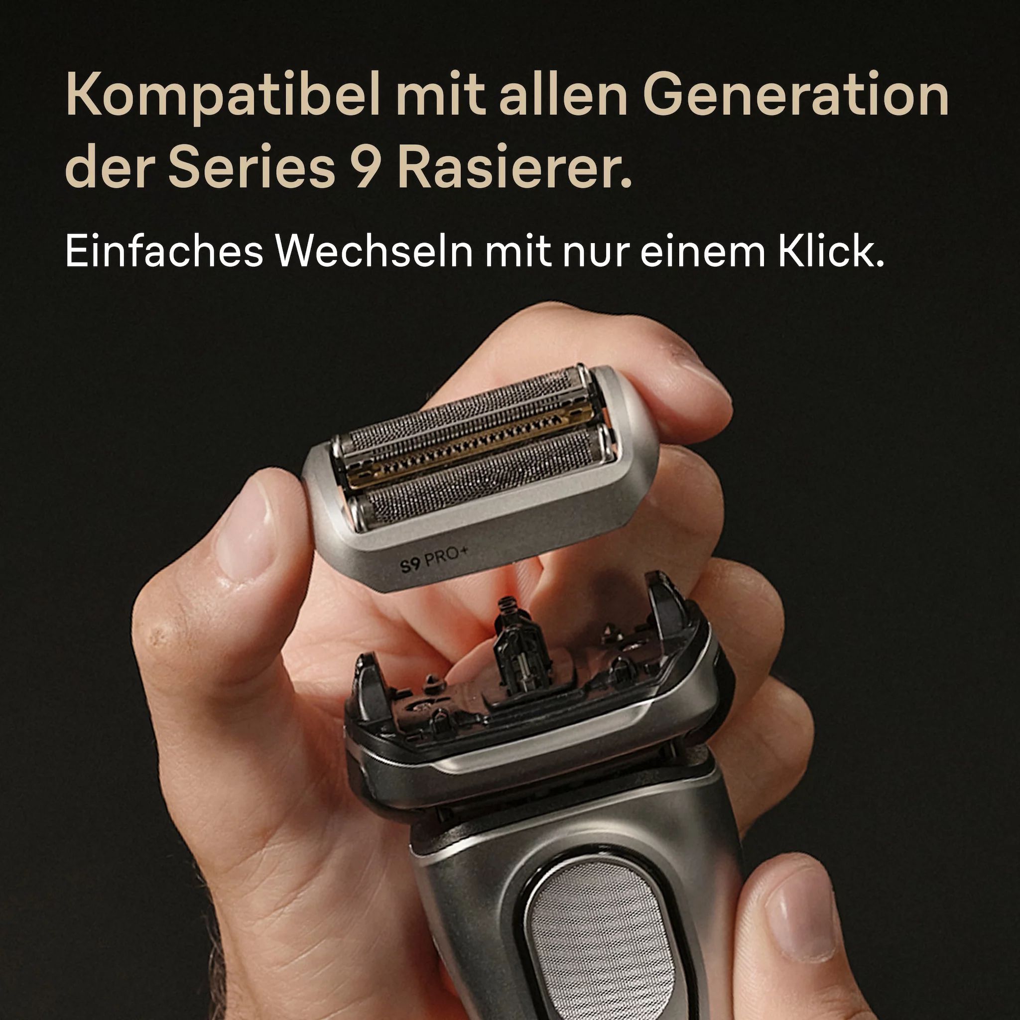 Braun Scherkopf 96M