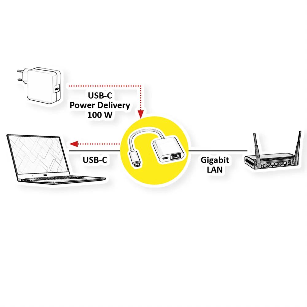 ROLINE USB 3.2 Gen 2 Typ C zu Gigabit Ethernet Konverter + 1x PD Port, 100W