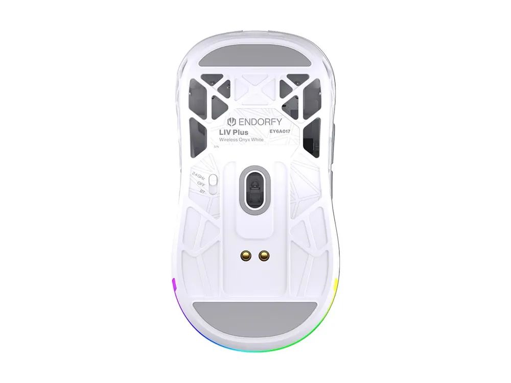 ENDORFY LIV Plus - Maus - optisch - kabellos - Bluetooth, 2.4 GHz - kabelloser Empfänger (USB)