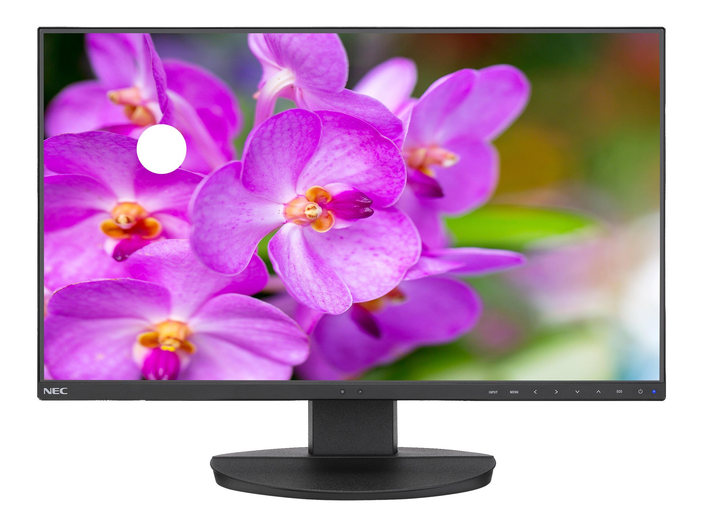 NEC MultiSync EA241F-BK - LED-Monitor - 60.96 cm (24")