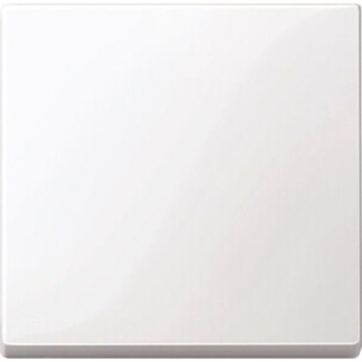 Merten WIPPE THERMOPLAST / MERTEN 4321 19 SYS.M PWS GL 432119