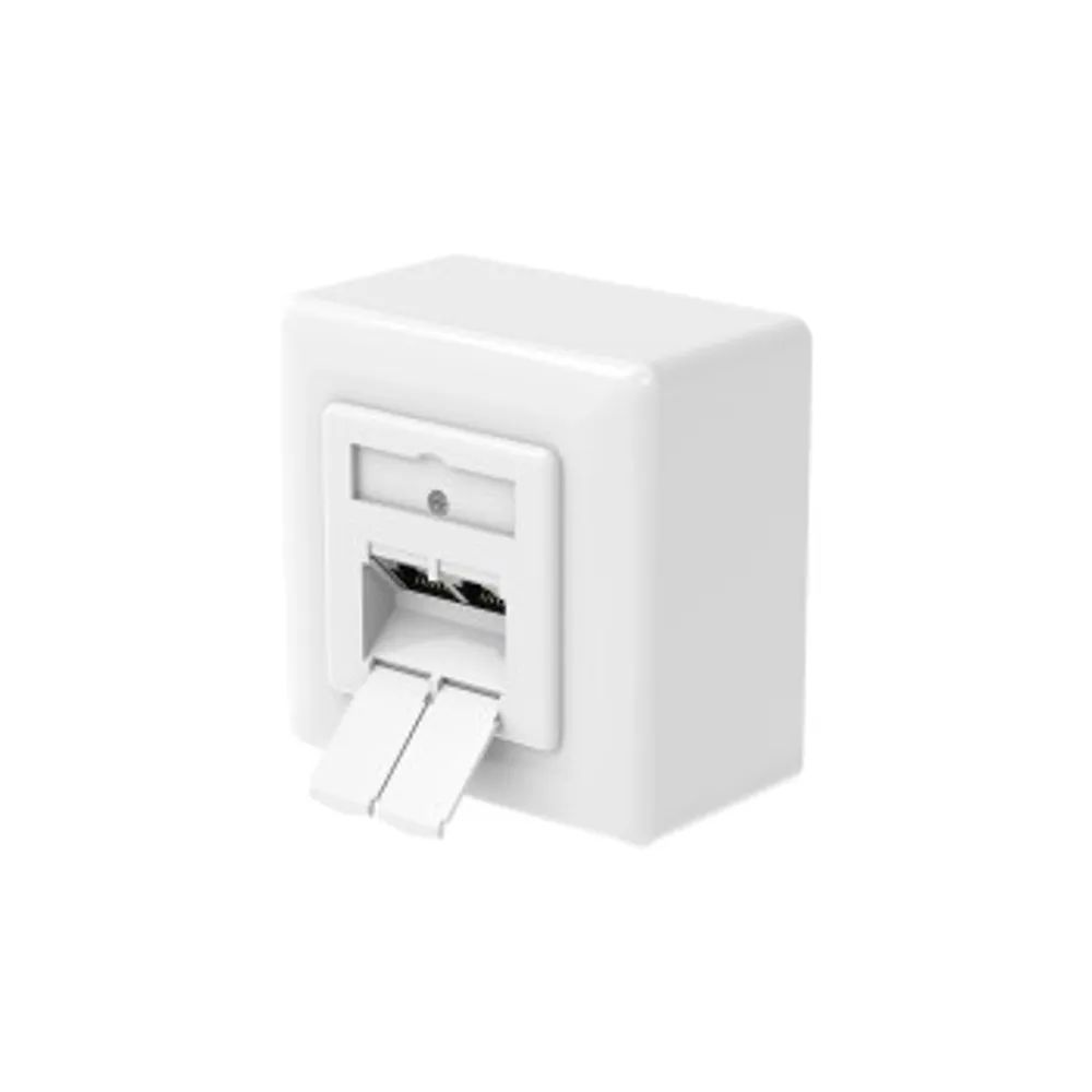 Hama Netzwerkdose, CAT-6a, 10 Gbit/s, geschirmt, 2 Ports, Aufputz-/Unterputz