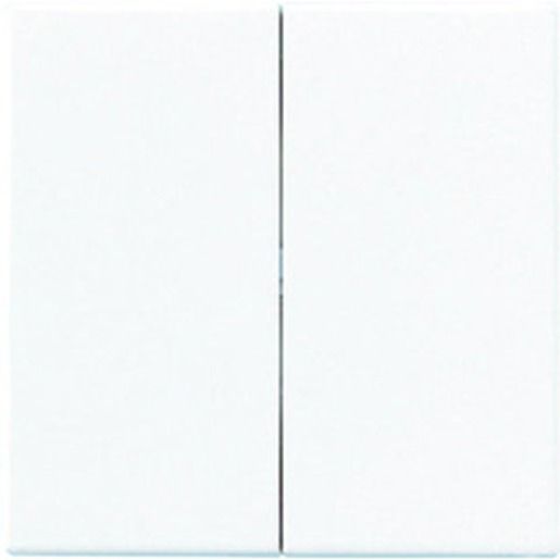Jung WIPPE F. SERIENSCHALTER / JUNG A595WW