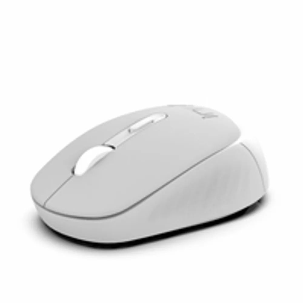 Incase Maus IWM-243RG CANDY DESIGN Grau 2.4GHz - Maus - 1.600 dpi