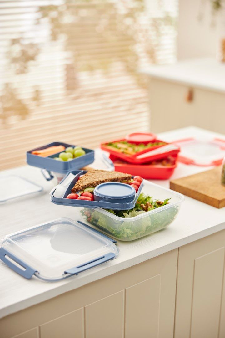 Rotho Salatbox 1.7 l MEMORY B3