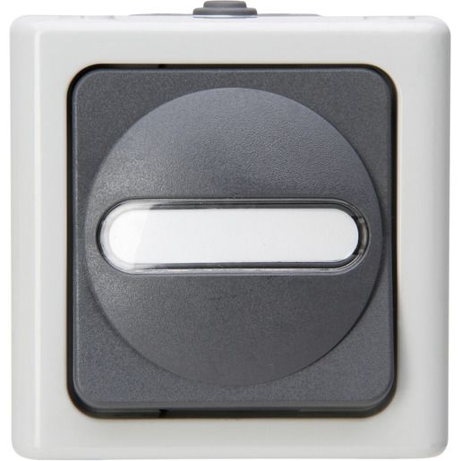 Kopp AP-FR TASTER WE BEL. GRAU / KOPP 561456001 BLUE ELEC 561456001