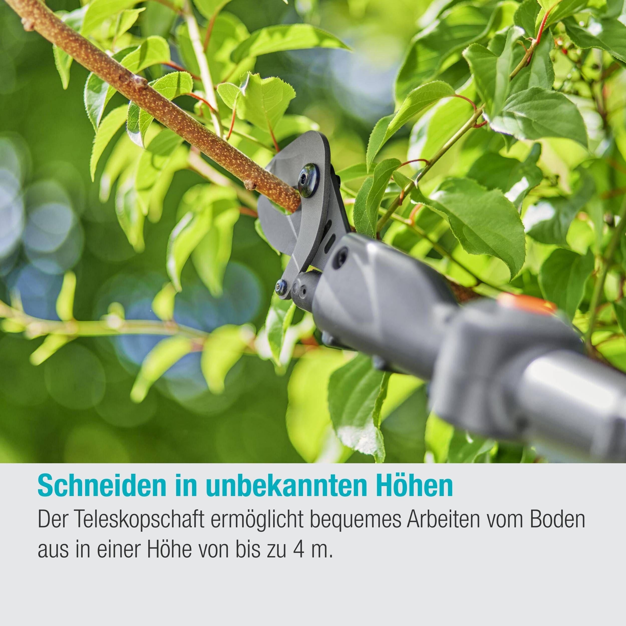 Gardena Akku-Teleskop-Baumschere HighCut 250/18V P4A Ready-To-Use Set