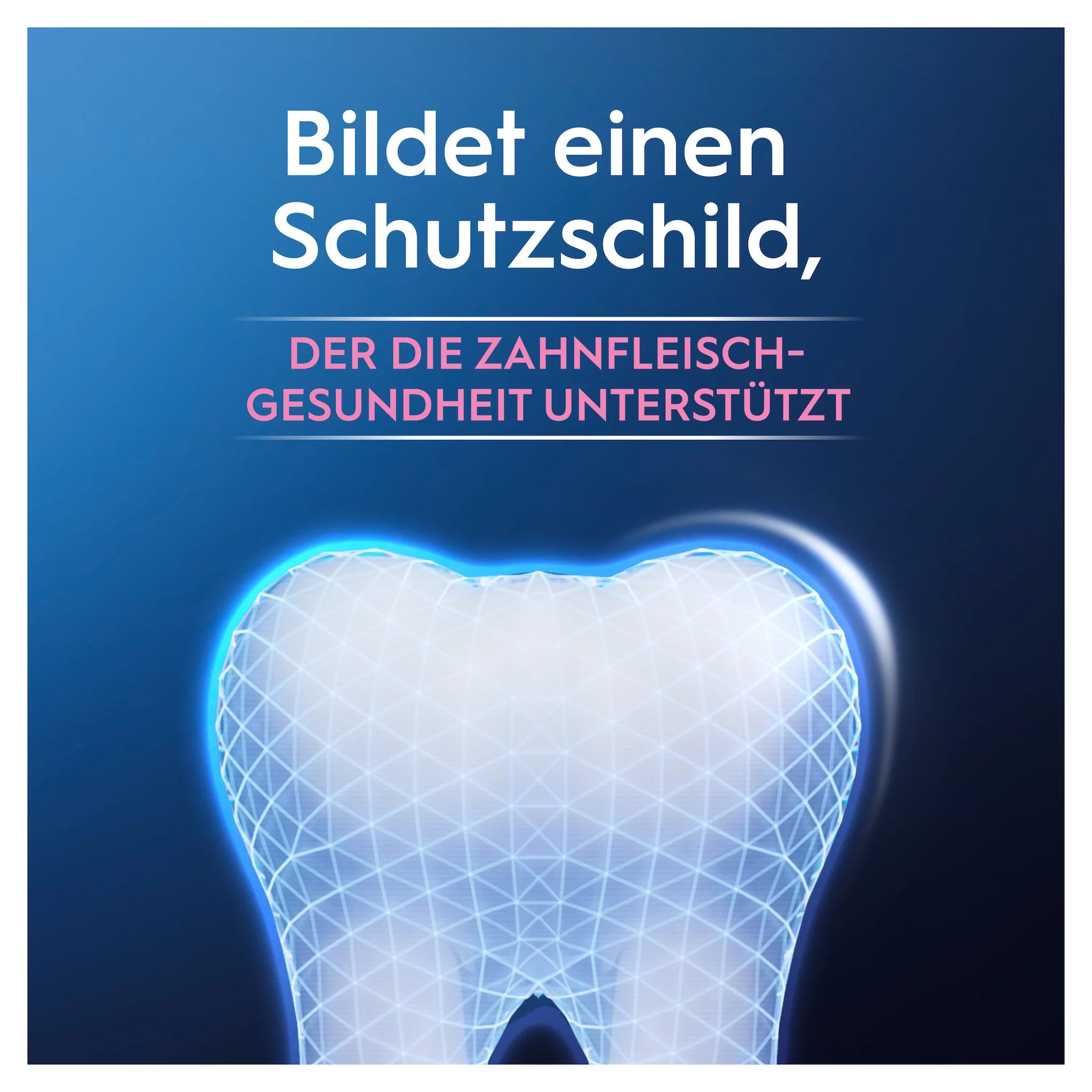 Oral-B Professional Zahnfleisch-Intensivpflege & Antibakterieller Schutz Zahncreme, 75 ml