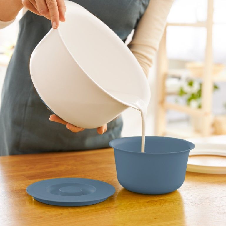 Rotho Backschüssel 1.2 + 4 l FRESH