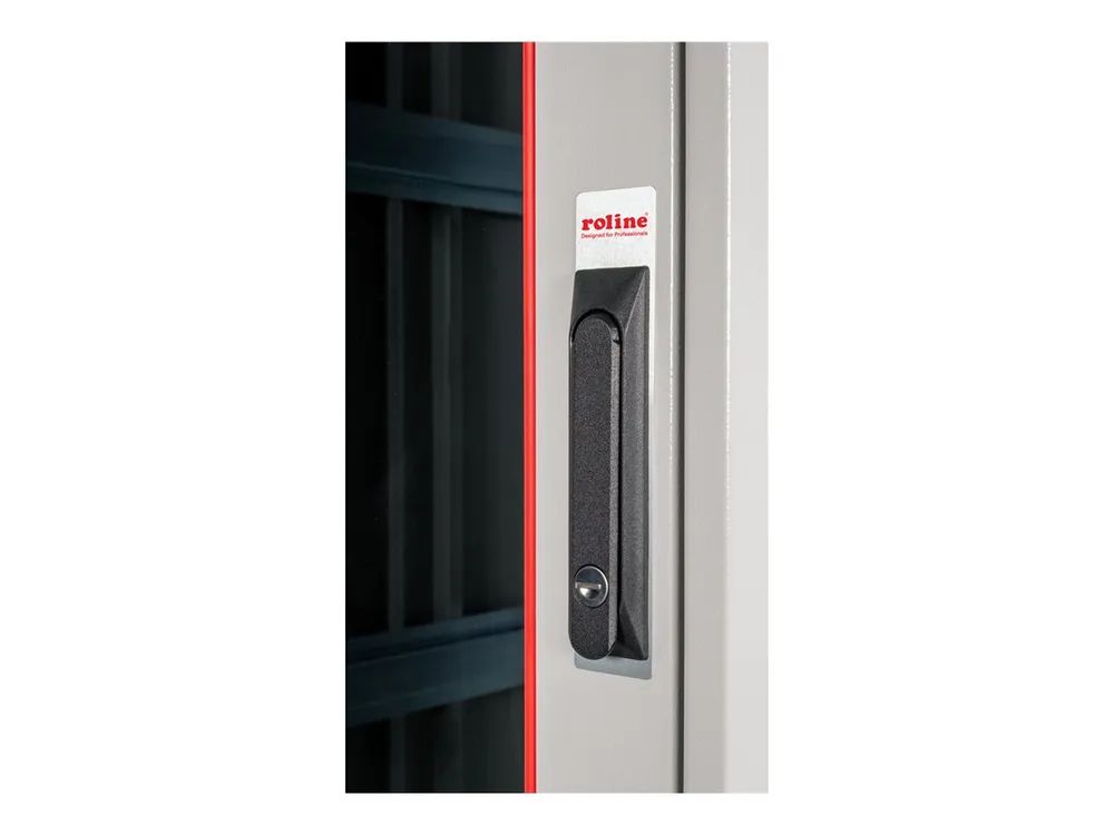 ROLINE Basic - Schrank Netzwerkschrank - Glas Tür, 600x1000 WxD - RAL 7035, Hellgrau - 42HE - 48.3 cm (19")