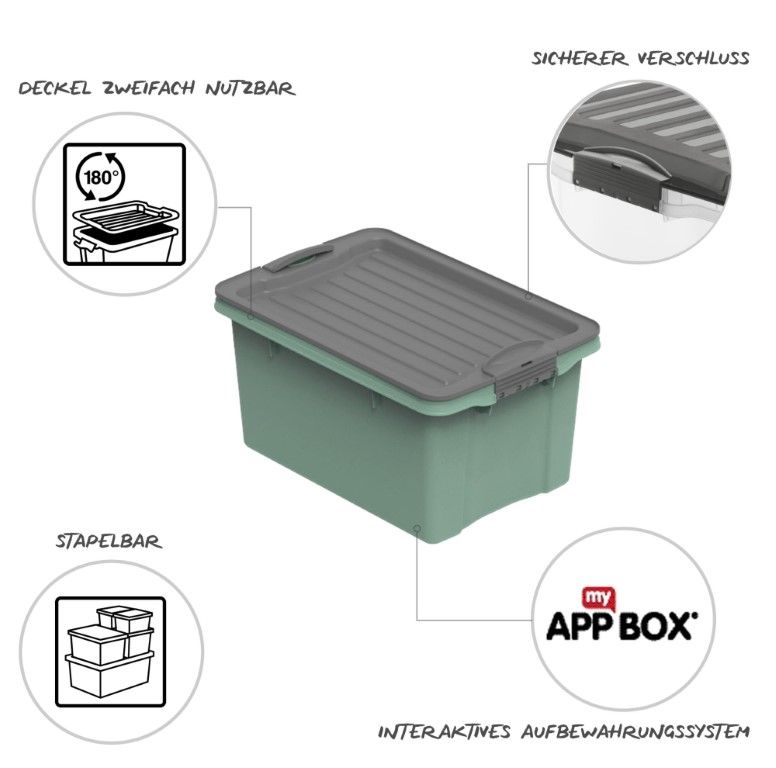 Rotho Stapelbox A5, 4.5 l COMPACT