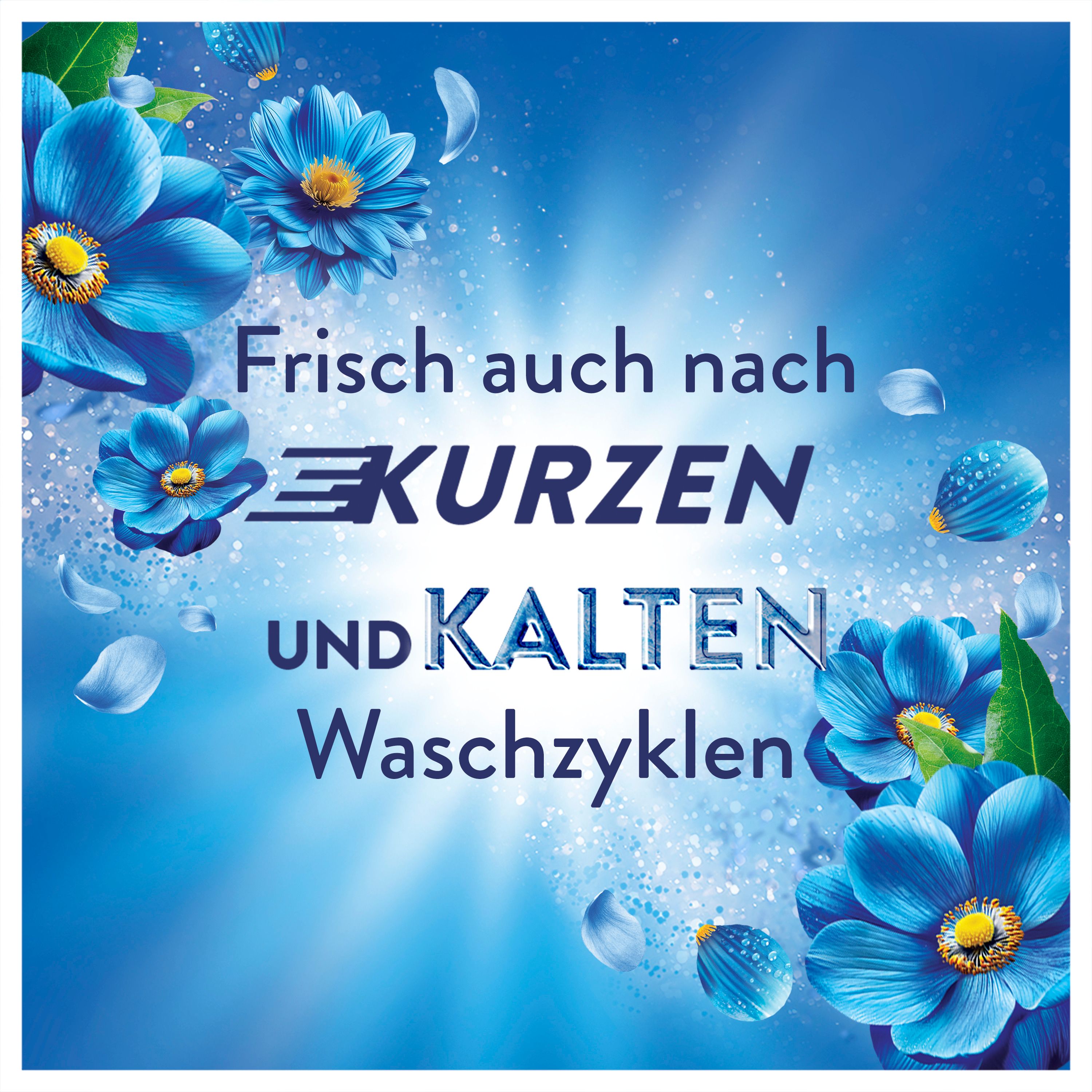 Lenor WSP Küstenblumen & Zypresse Duo-Pack 2x71WL