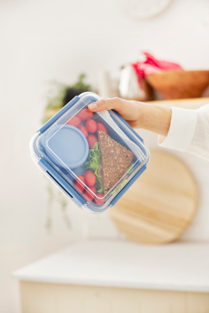 Rotho Salatbox 1.7 l MEMORY B3