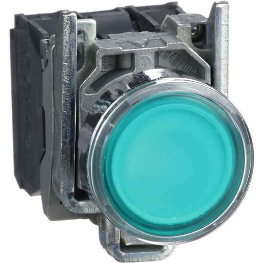 Schneider Electric LEUCHTDRUCKTASTER / SCHN.E XB4BW33B5