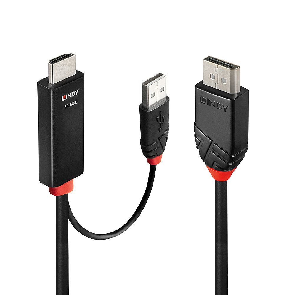 Lindy Adapterkabel - HDMI, USB männlich zu DisplayPort männlich