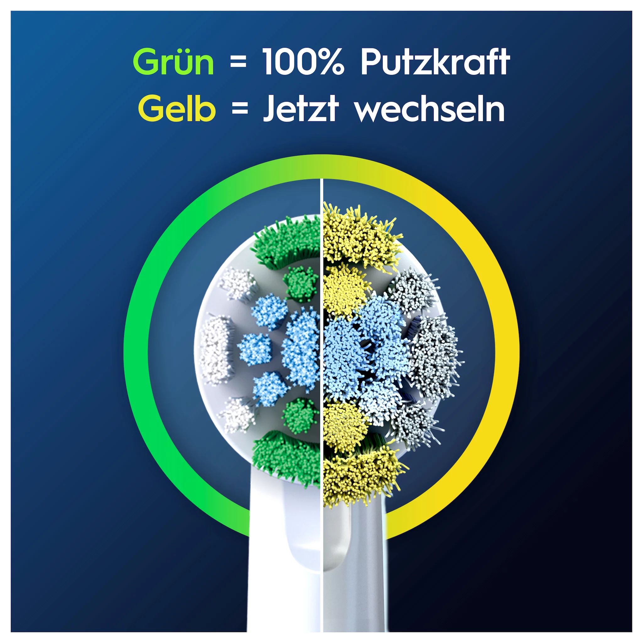 Oral-B Pro Precision Clean 10er
