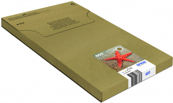 Epson 603 Multipack Easy Mail Packaging - 4er-Pack