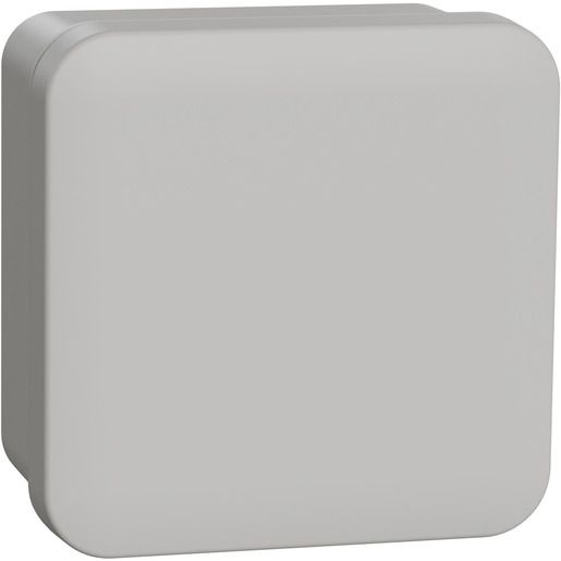 Schneider Electric ABZWEIGDOSE 80X80X45 / SCHN.E ENN05044