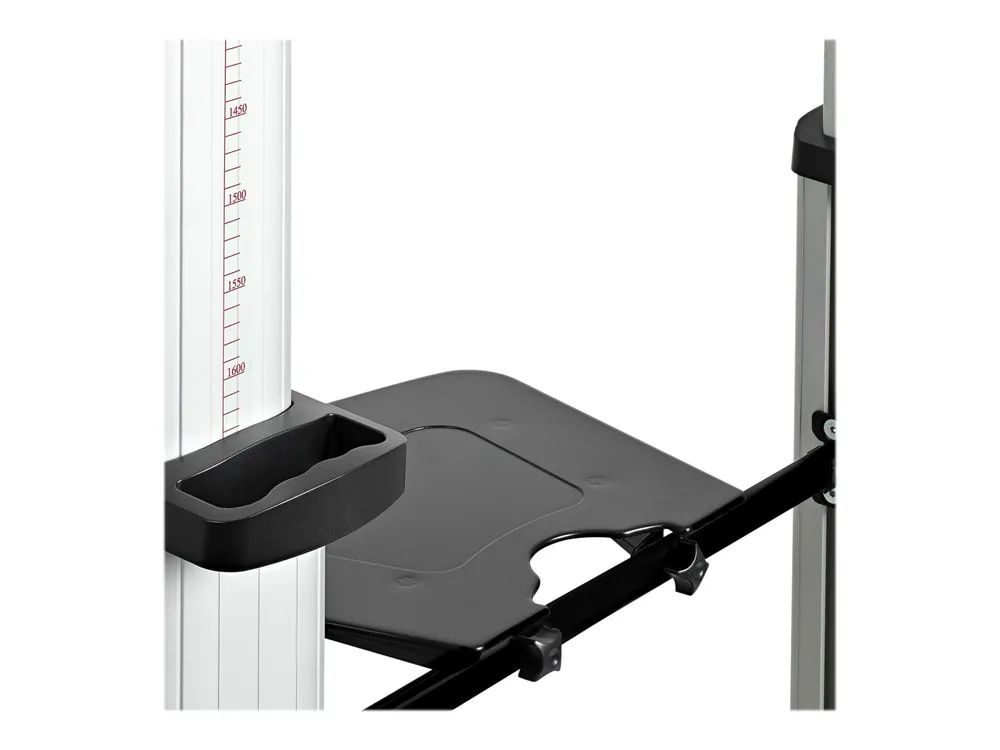 StarTech.com Doppel TV Ständer mit rollen für 37-60 Zoll VESA Bildschirme jeweils bis 50kg - Höhenverstellbarer/Schwenkbarer TV Rollwagen - Präsentationswagen für zwei TVs mit Ablage - (STNDMTVDUO)