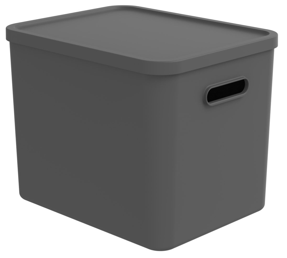Rotho Multibox 27 l, C4 ALBULA