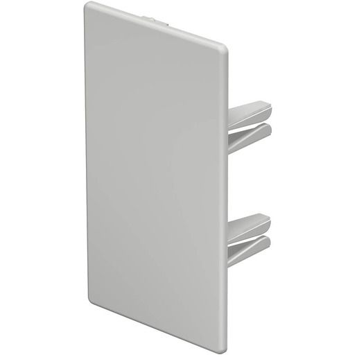 OBO ENDSTÜCK 60X110MM RWS / WDK HE60110RW 6193307