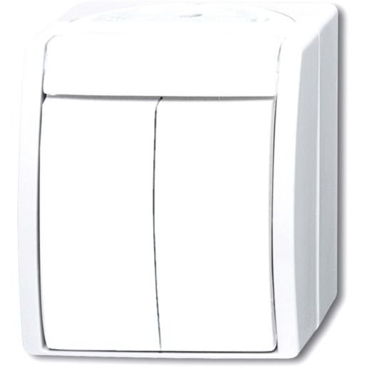 Busch-Jaeger AP SERIENSCH. / BUSCH 2601/5 W-54 2CKA001085A1621