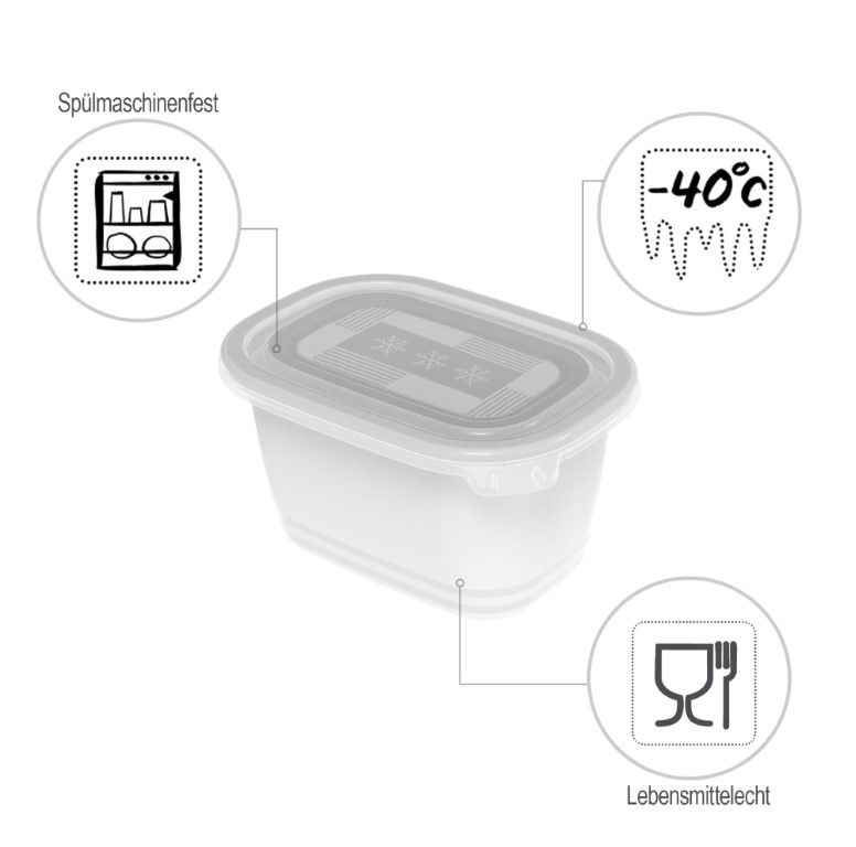 Rotho Set Gefrierdosen 4 x 0.75 l FREEZE