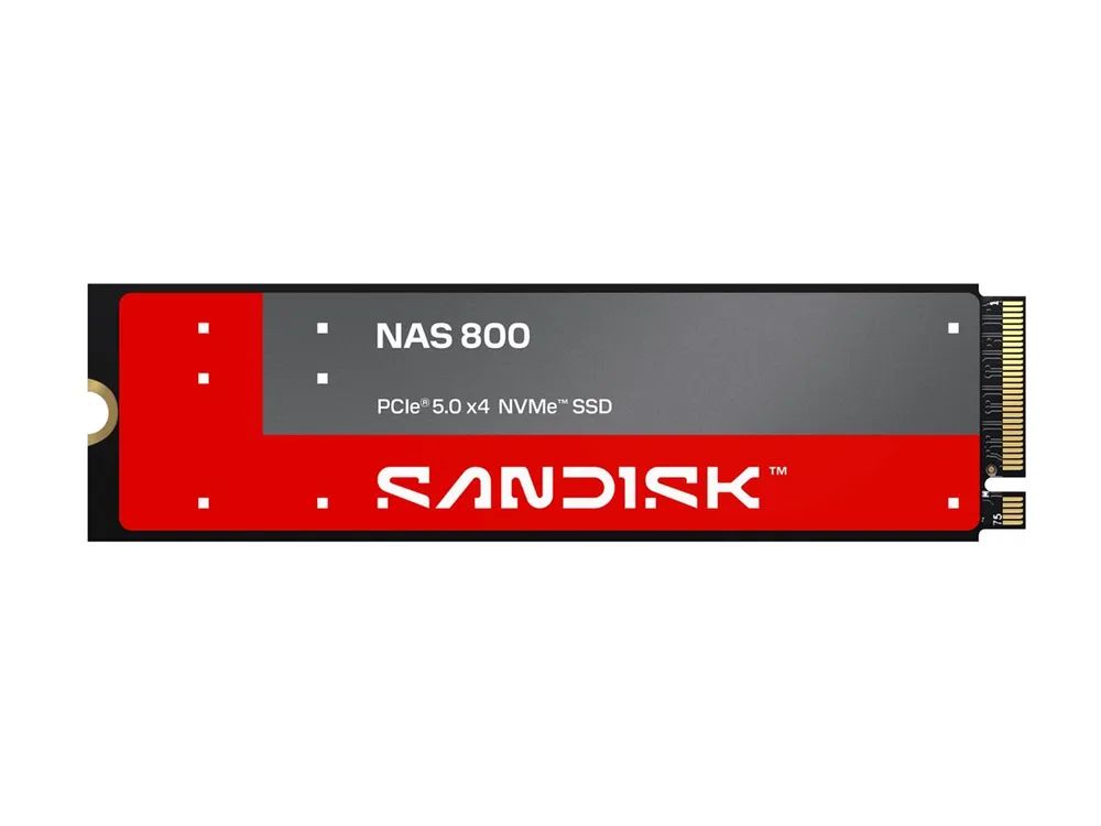 SanDisk NAS 800 - SSD - verschlüsselt - 960 GB - intern - M.2 2280 S3-M (M.2 2280 S3-M)