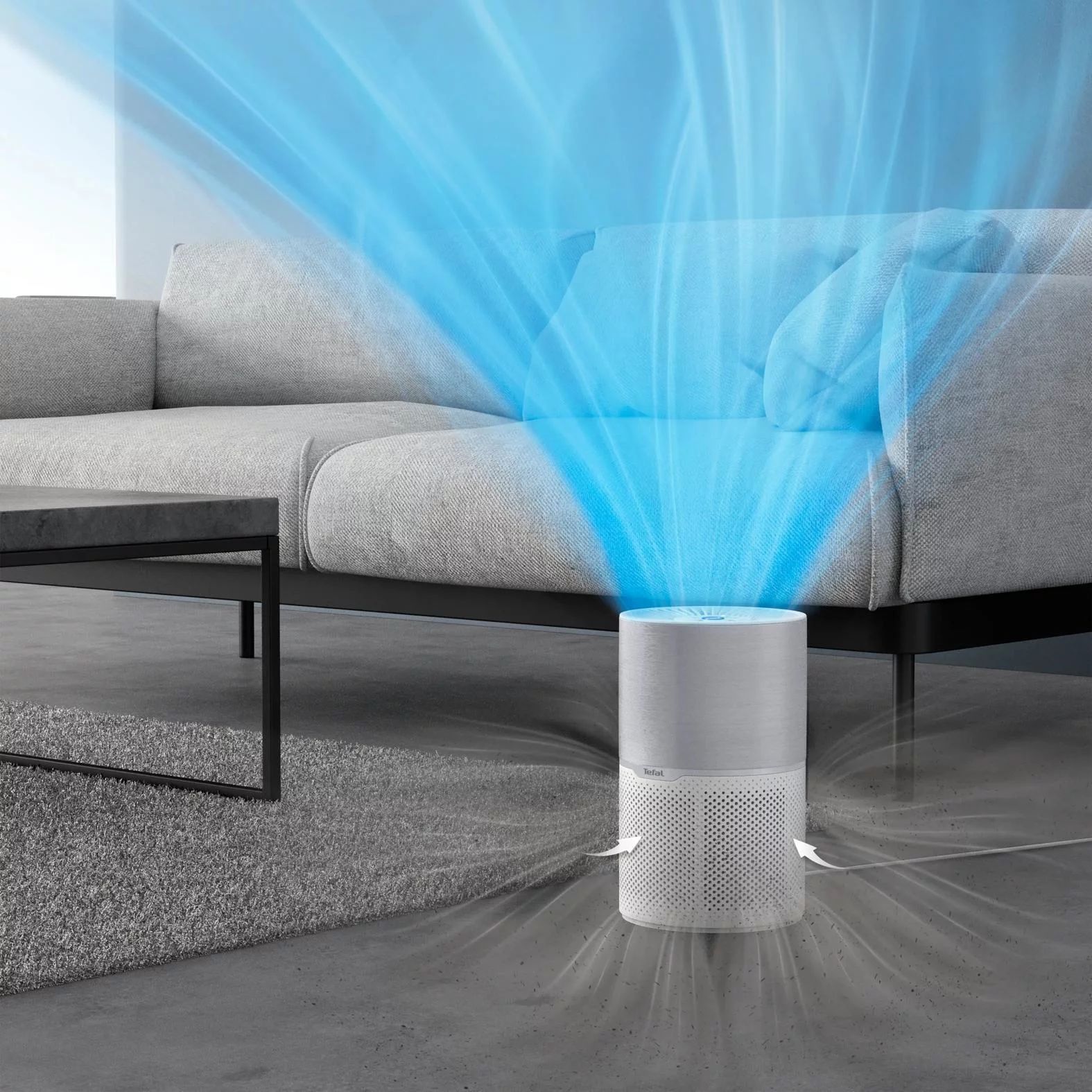 Rowenta XD6270 3-IN-1-FILTER: VORFILTER, AKTIVKOHLE UND HEPA ALLERGY+  