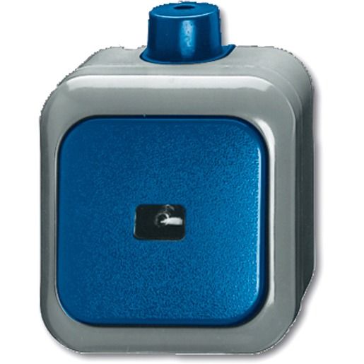 Busch-Jaeger WS WIPPTASTER 2621 WDI / BUSCH 2621 WDI 2CKA001483A0171