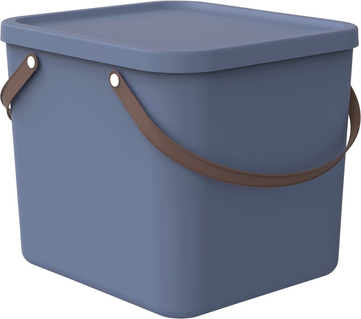 Rotho Aufbewahrungsbox 40 l ALBULA