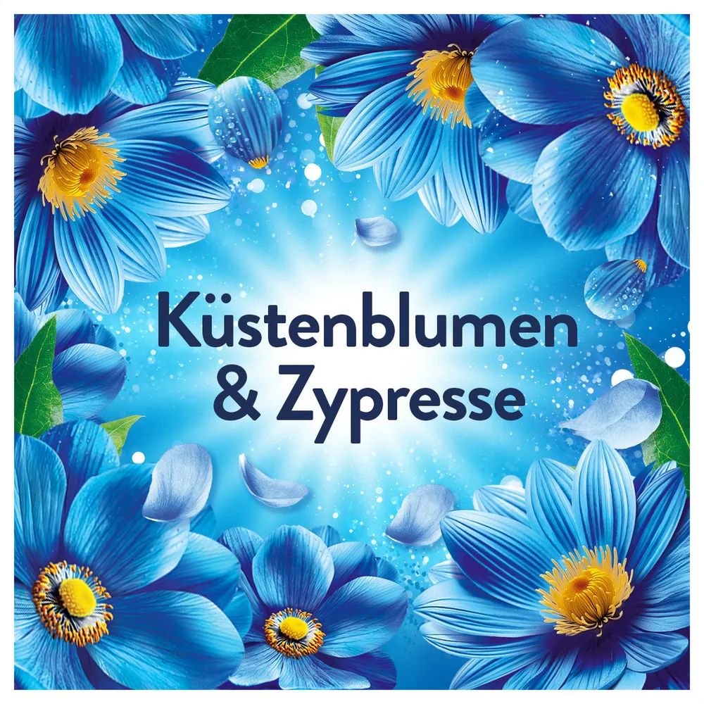 Lenor Küstenblumen & Zypresse Flasche - 798ml 