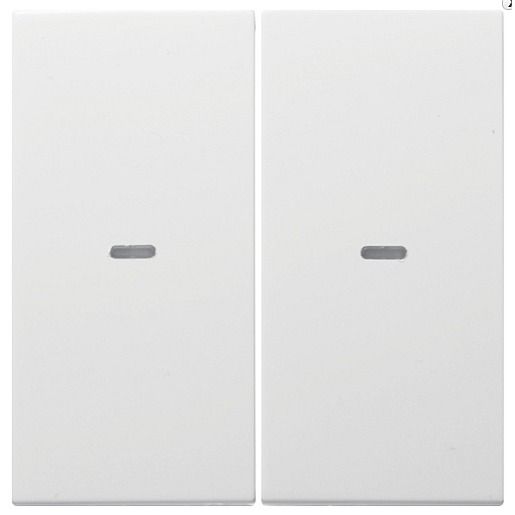 Berker KNX S.1/B.X ABEDCKUNG PWS / BERKER 80960389