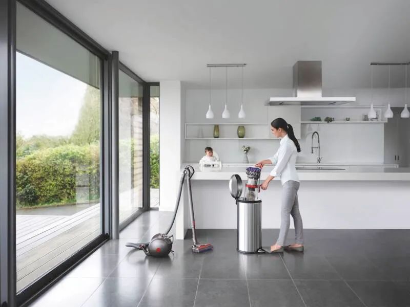 Dyson Big Ball Parquet 2