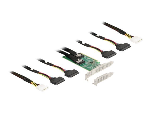 Delock Speicher-Controller - 4 Sender/Kanal