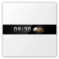 Aqara Display Switch V1