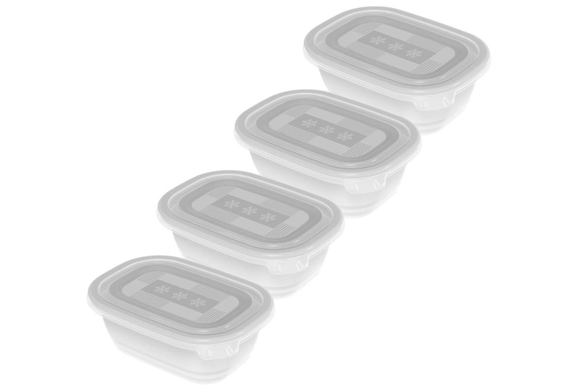 Rotho Set Gefrierdosen 4 x 0.5 l FREEZE