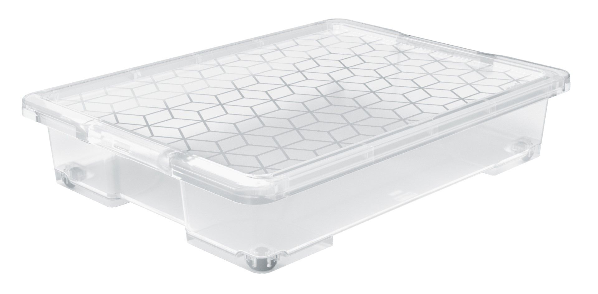 Rotho Unterbettbox 50 l EVO EASY