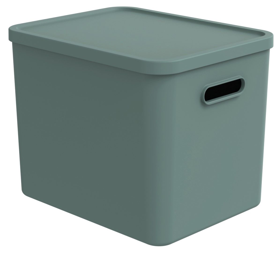Rotho Multibox 27 l, C4 ALBULA