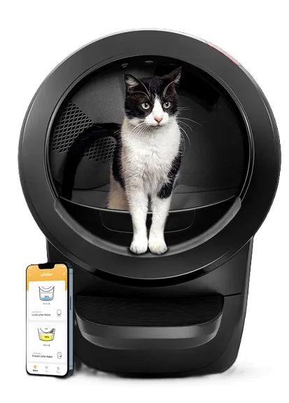 Bullboat WHISKER LITTER-ROBOT 4 Black