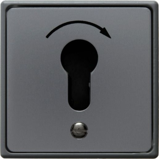 Berker FR-UP SCHLÜSSELTASTER 1P. / BERKER 4450 GR 4450