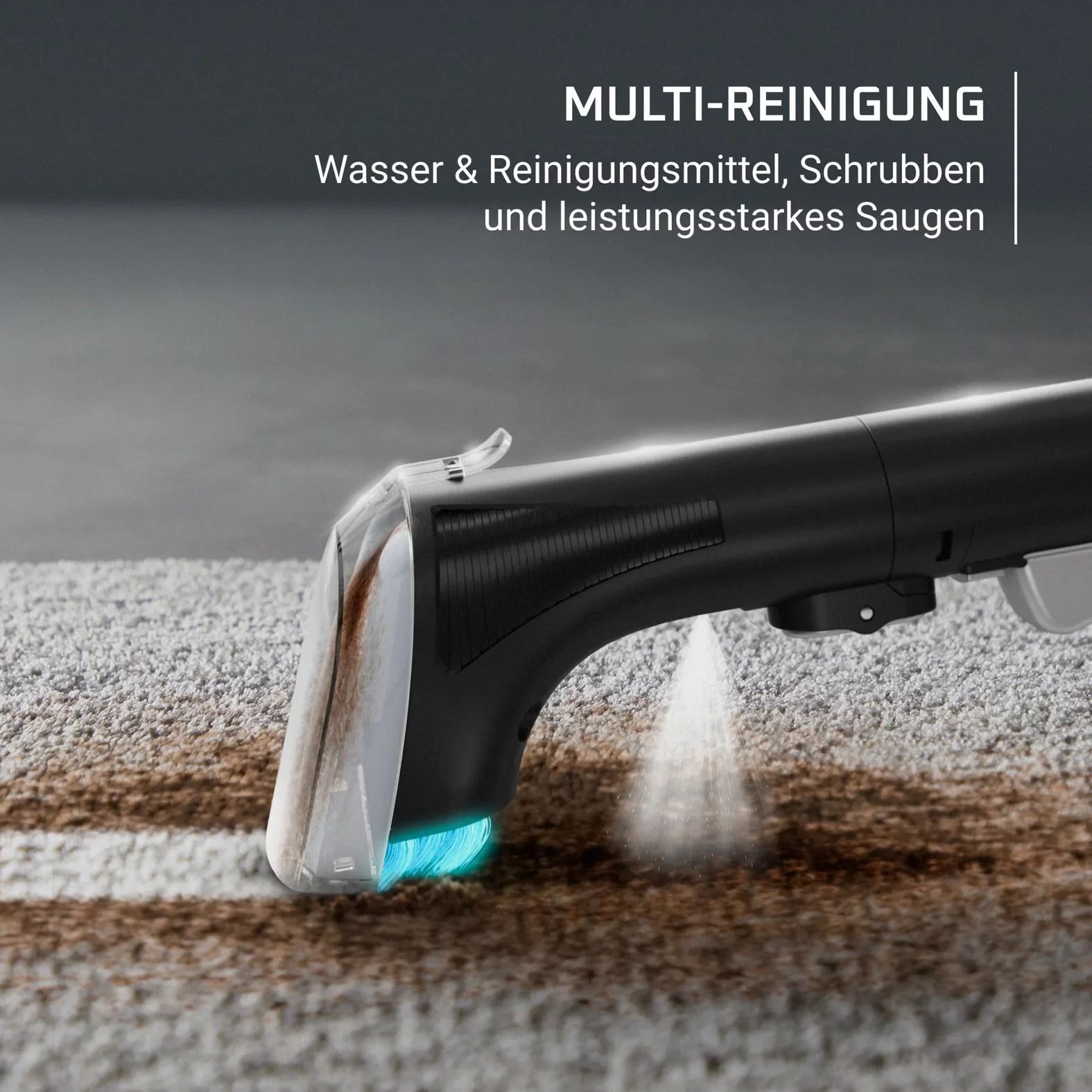 Rowenta IN3010 Fleckenreiniger Clean It Compact - Beige