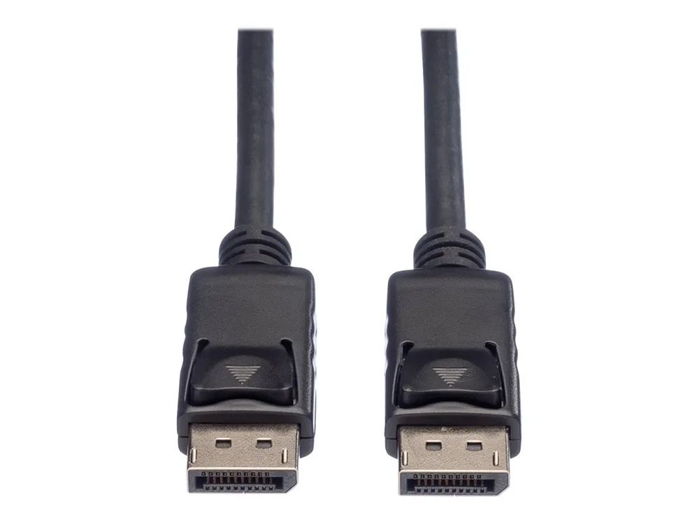ROLINE DisplayPort-Kabel - DisplayPort (M)