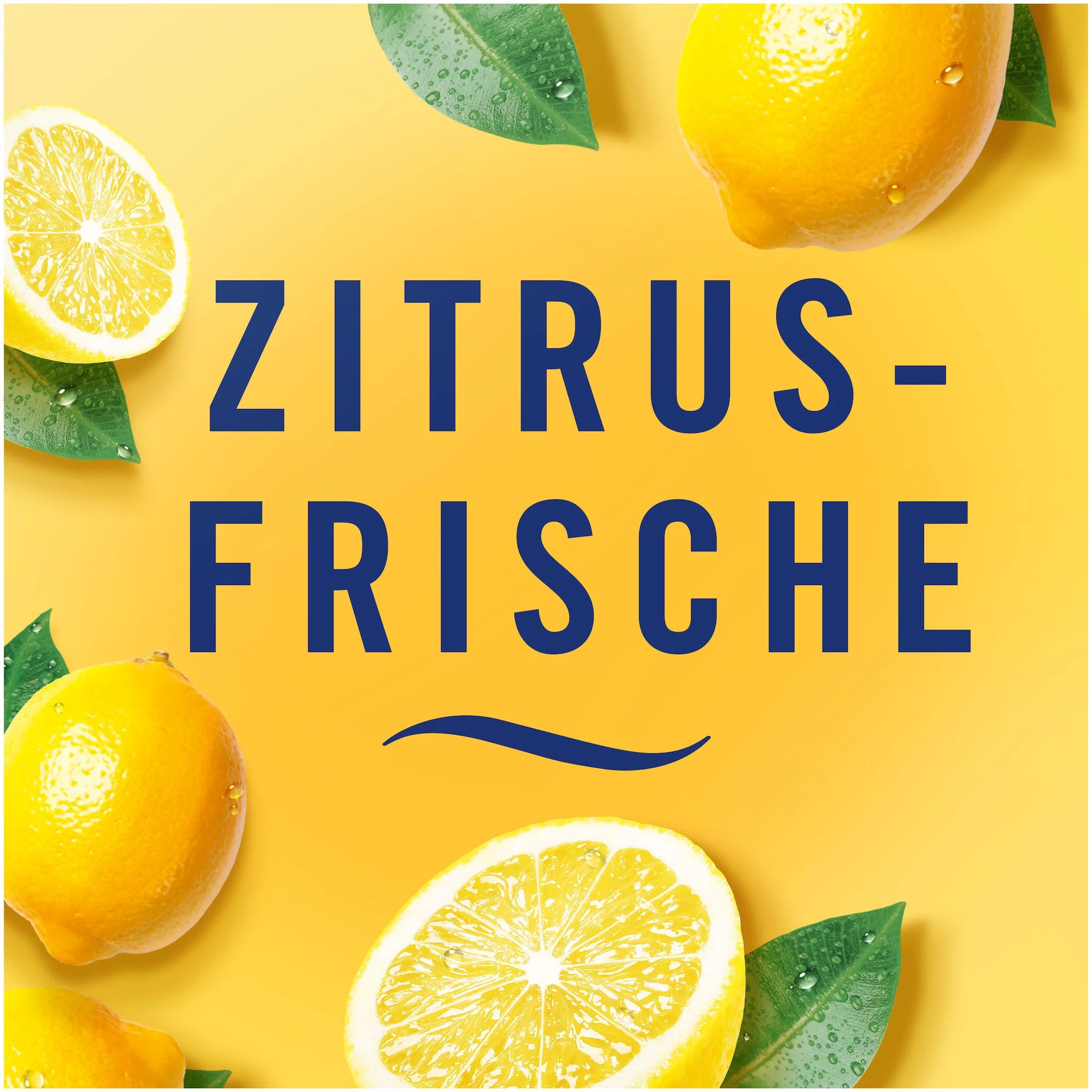 Febreze Mülleimererfrischer Starterkit + 6er Zitrusfrische Ecom