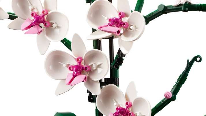 LEGO Orchidee