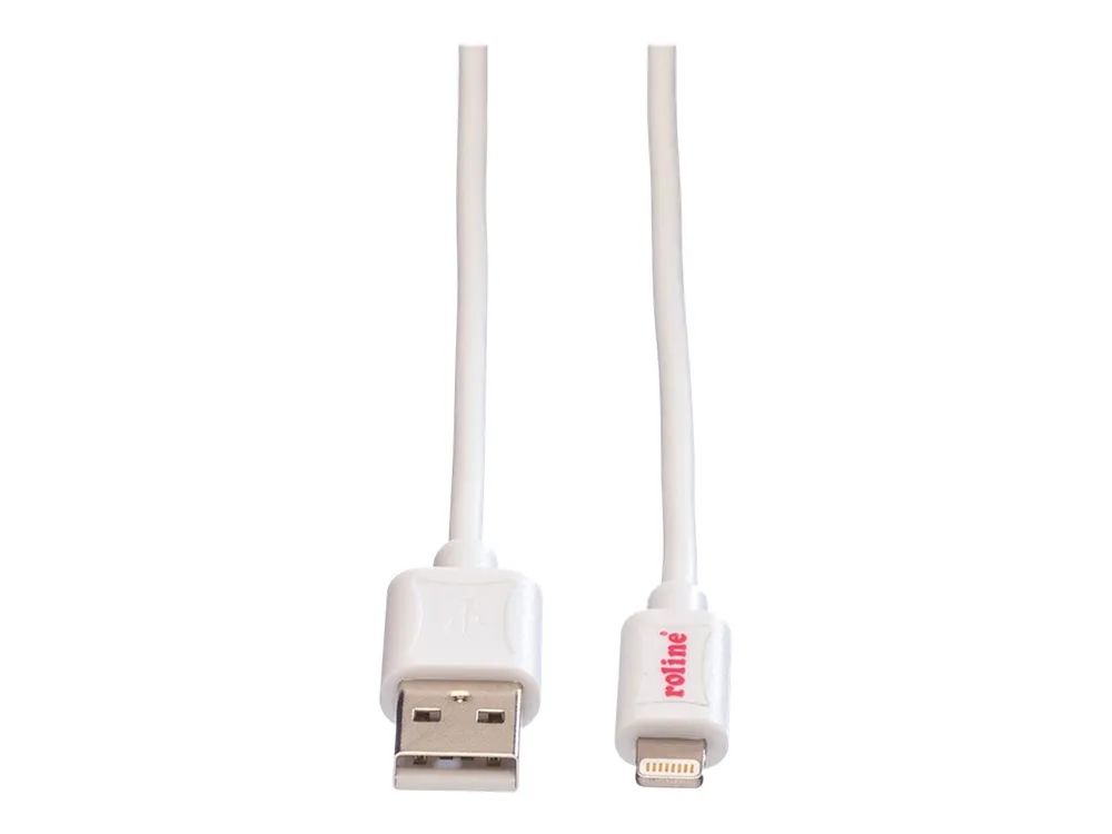 ROLINE Lightning-Kabel - Lightning männlich zu USB männlich