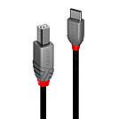 Lindy Anthra Line - USB-Kabel - 24 pin USB-C (M)
